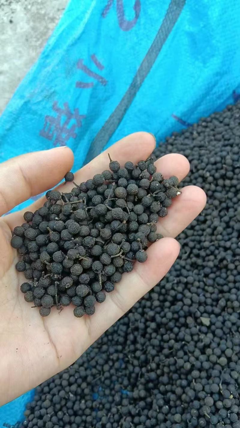 木姜子干货无硫未炼油7月上旬产新价格起批量电议留言必回