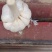 射阳大蒜