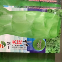 一品大花叶香莴笋特耐寒味清香嫩绿