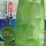 一品大花叶香莴笋特耐寒味清香嫩绿