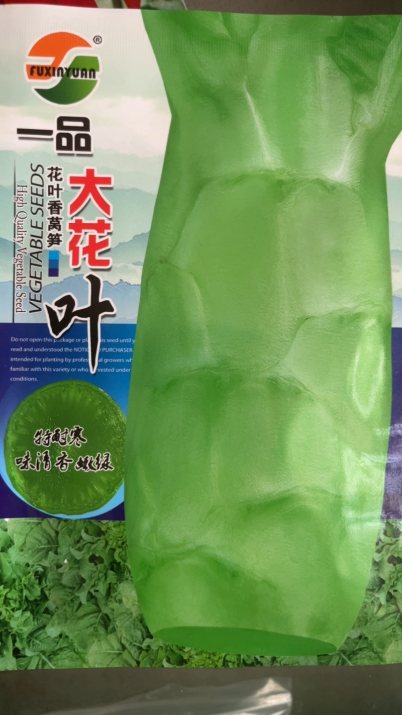 一品大花叶香莴笋特耐寒味清香嫩绿