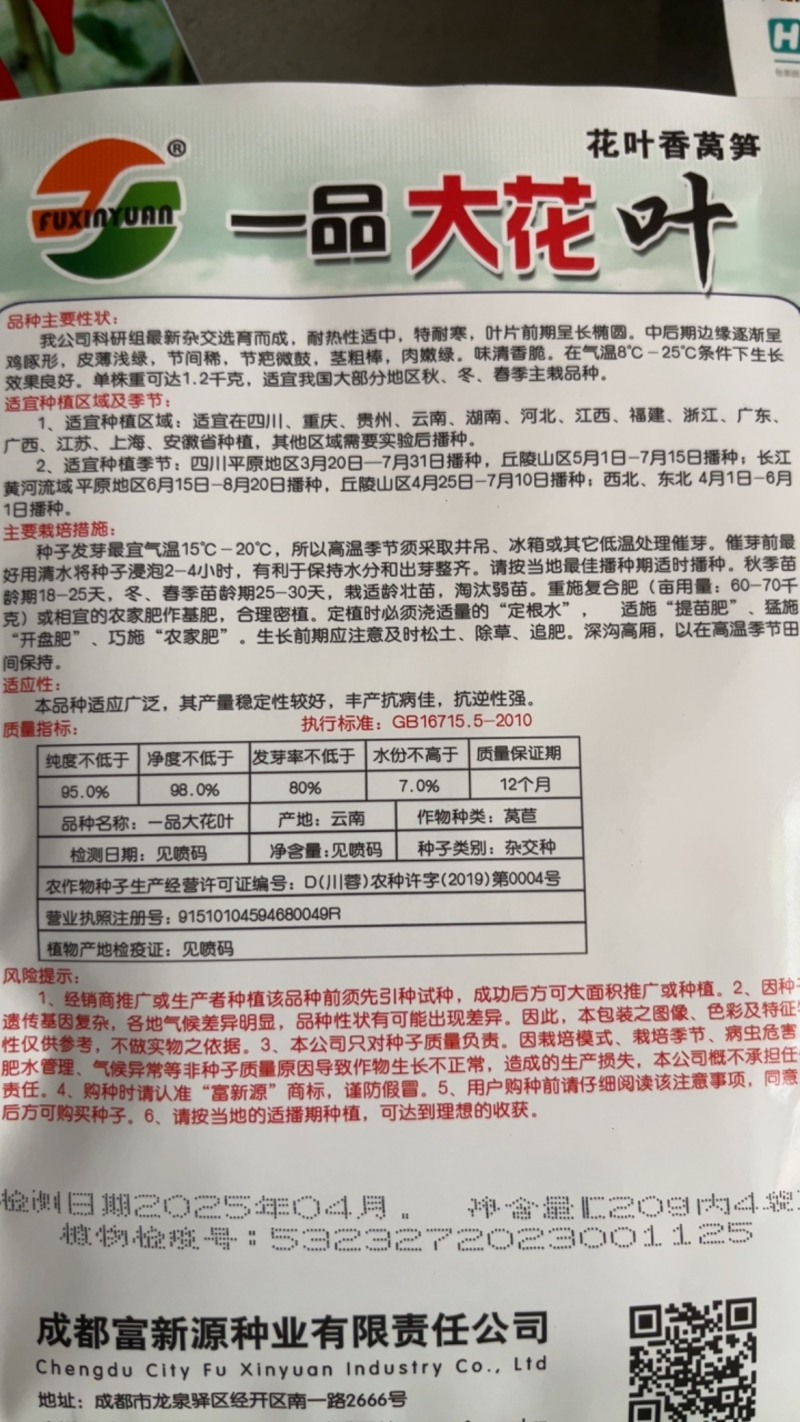 一品大花叶香莴笋特耐寒味清香嫩绿