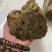 芽庄沉香沉水级原木老料密度1.07缓沉水