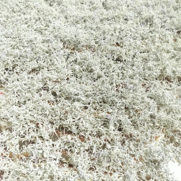野生藤茶莓茶批发零售