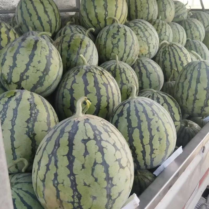 美都大批量上市中有喜欢的老板可以联系哟