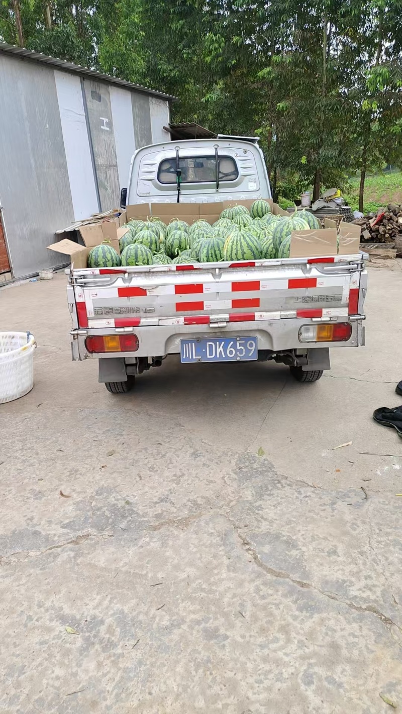 美都大批量上市中有喜欢的老板可以联系哟
