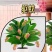 抢【五月种植】新品种驱蚊宝莲灯花四季室内耐热阳台盆栽种植-Q