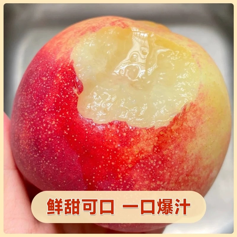 山西运城水蜜桃一件代发