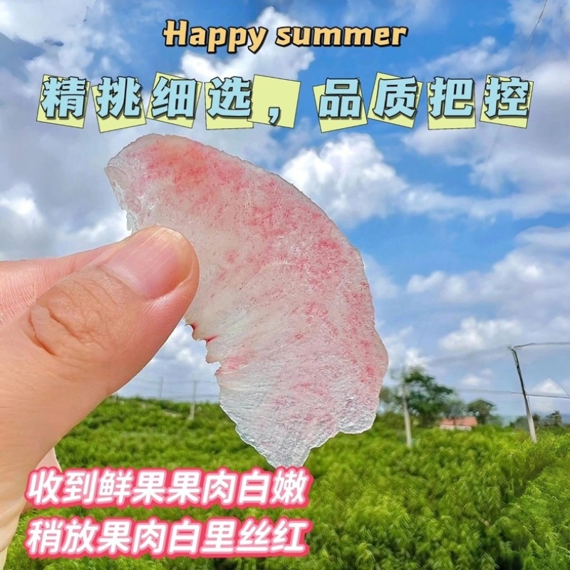 山西运城水蜜桃一件代发