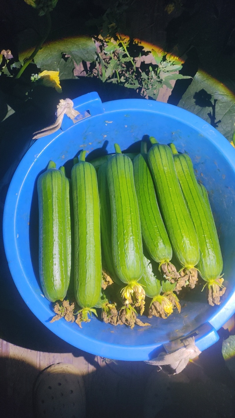 要货电话联系