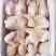 白条肉食鸡新鲜冷冻鸡低价出售