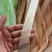 果树专用拉枝绳吊秧绳瓜果蔬菜拉绳捆绑绳耐晒2米一圈