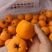 大五星枇杷正在热卖中，皮薄肉厚，纯甜需要的老板请联系谢谢