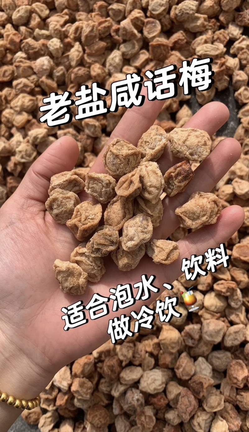 广式九制话梅干超酸甜酸咸泡水正宗话梅蜜饯