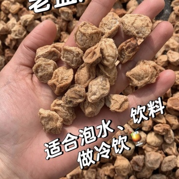 广式九制话梅干超酸甜酸咸泡水正宗话梅蜜饯
