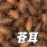 苍耳子通货。