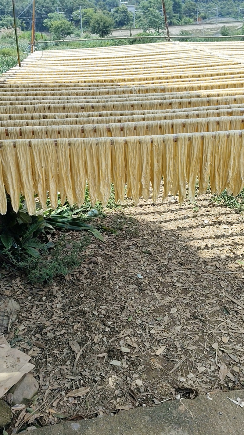 腐竹