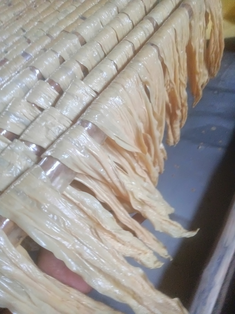 腐竹