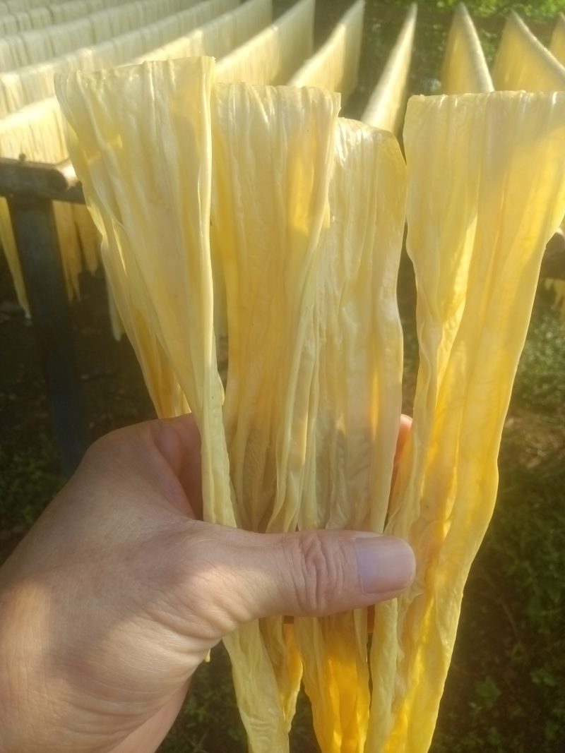 腐竹