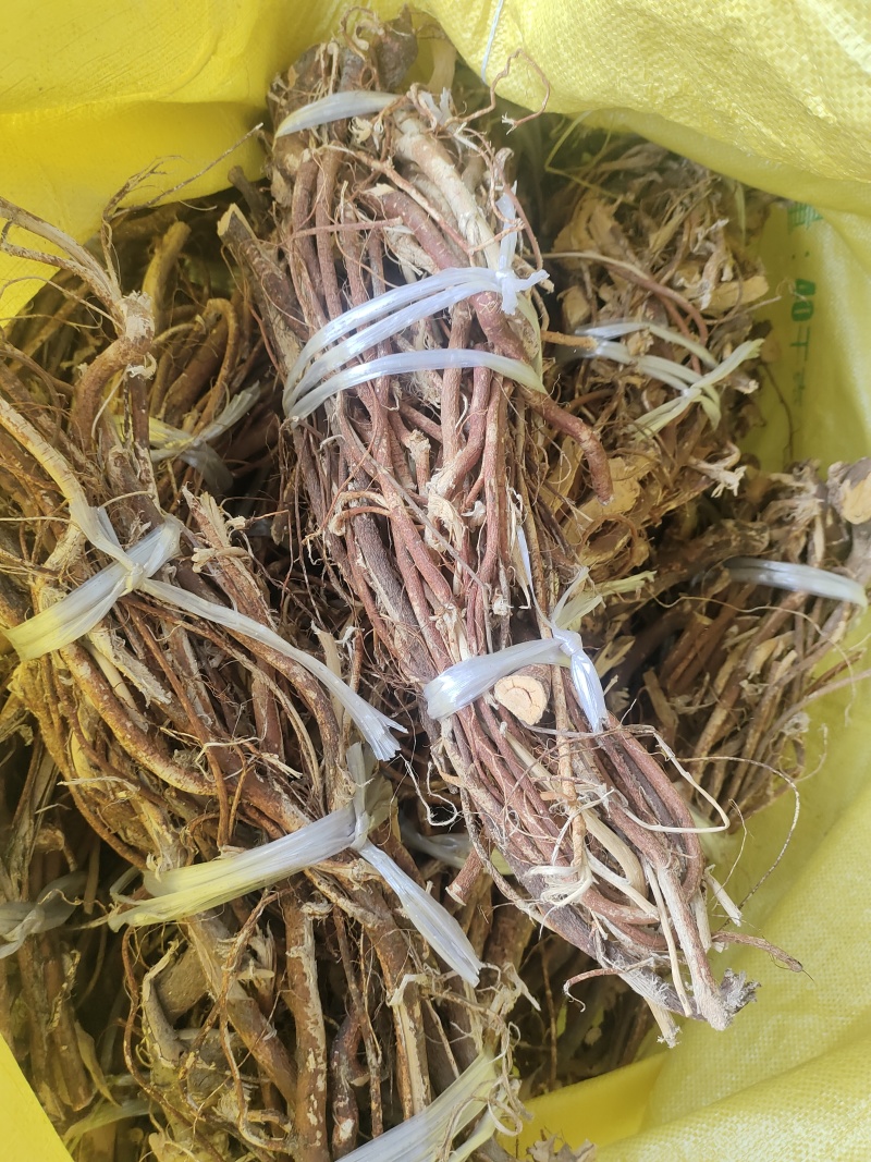 野生的五指毛桃干货大扎把