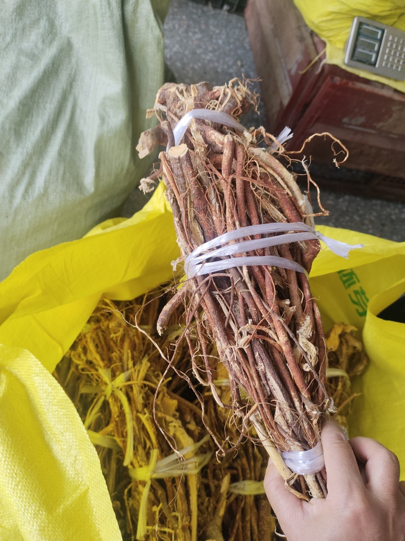 野生的五指毛桃干货大扎把