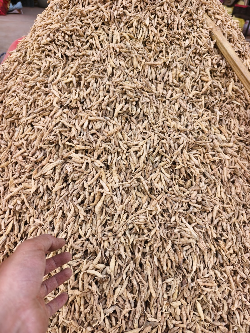 【优质推荐】野生麦冬大量有货保质保量常年供应