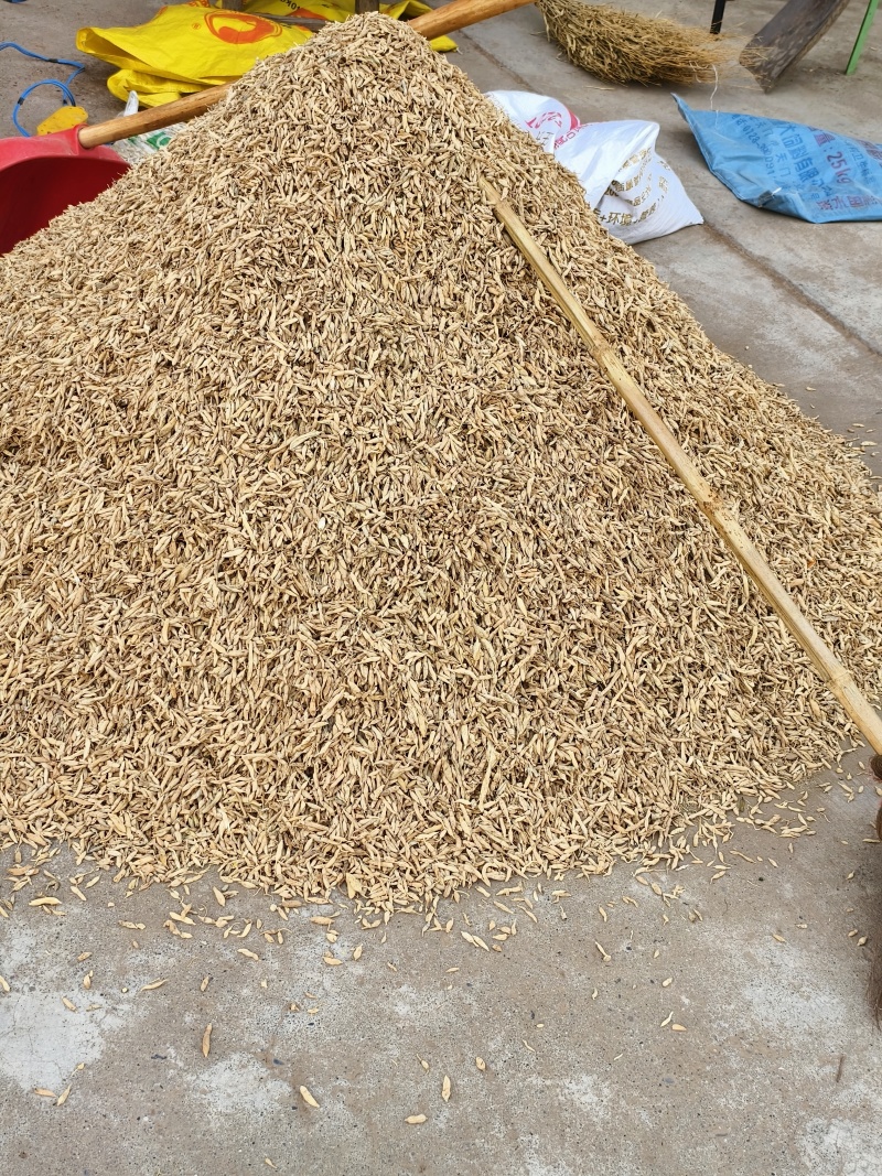 【优质推荐】野生麦冬大量有货保质保量常年供应