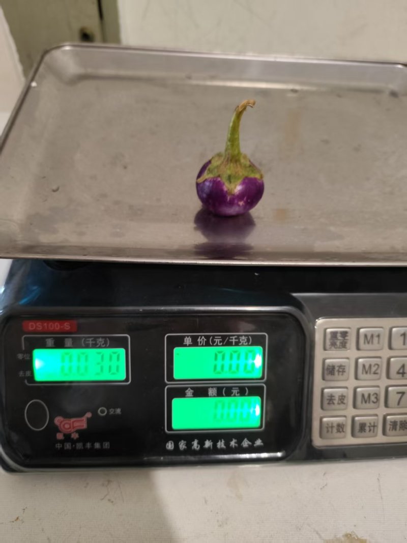 云南小紫圆茄，新鲜采摘发货产地直发品质保证量大从优