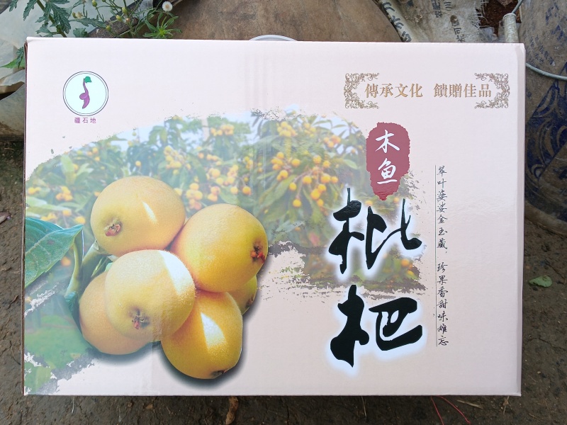 贵妃琵琶