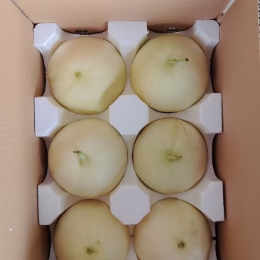 阎良甜瓜