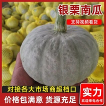银栗南瓜货源充足欢迎新老客户来电订购，诚信经营，信誉第一