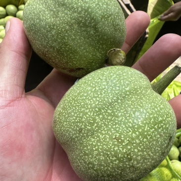 青皮核桃大量发货产地直发价格优惠
