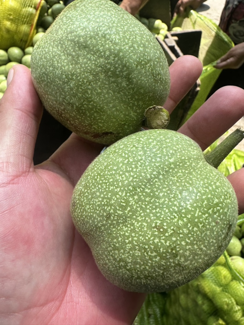 青皮核桃大量发货产地直发价格优惠