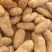 新货上市麦肯一号