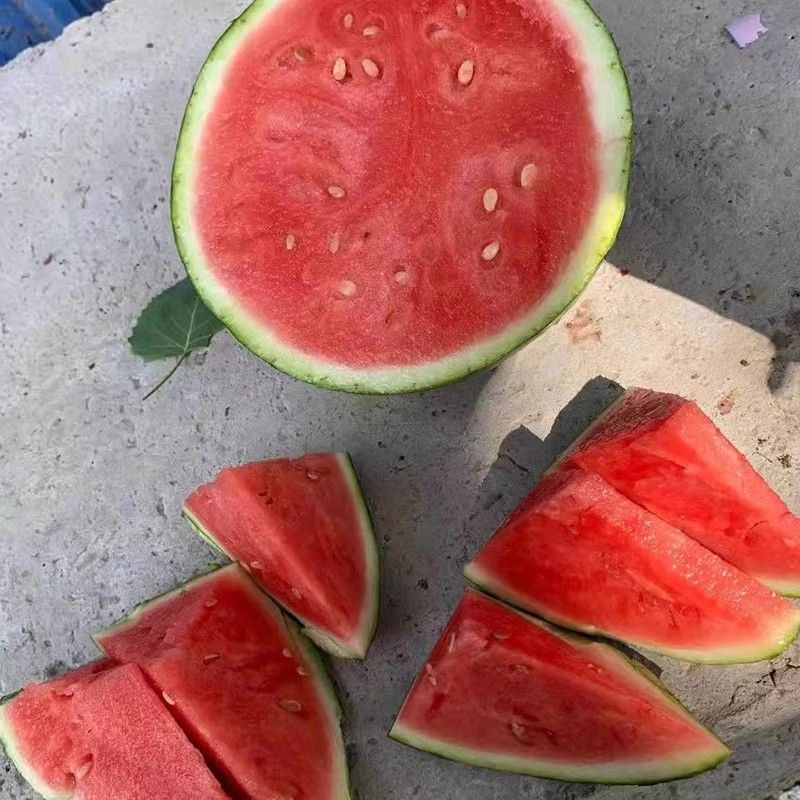 陕西咸阳西瓜