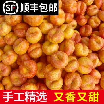 《一件代发》油蟠桃突围黄金蜜电商团购主播达人直播**