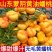 《一件代发》油蟠桃突围黄金蜜电商团购主播达人直播**