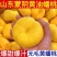 《一件代发》油蟠桃突围黄金蜜电商团购主播达人直播**