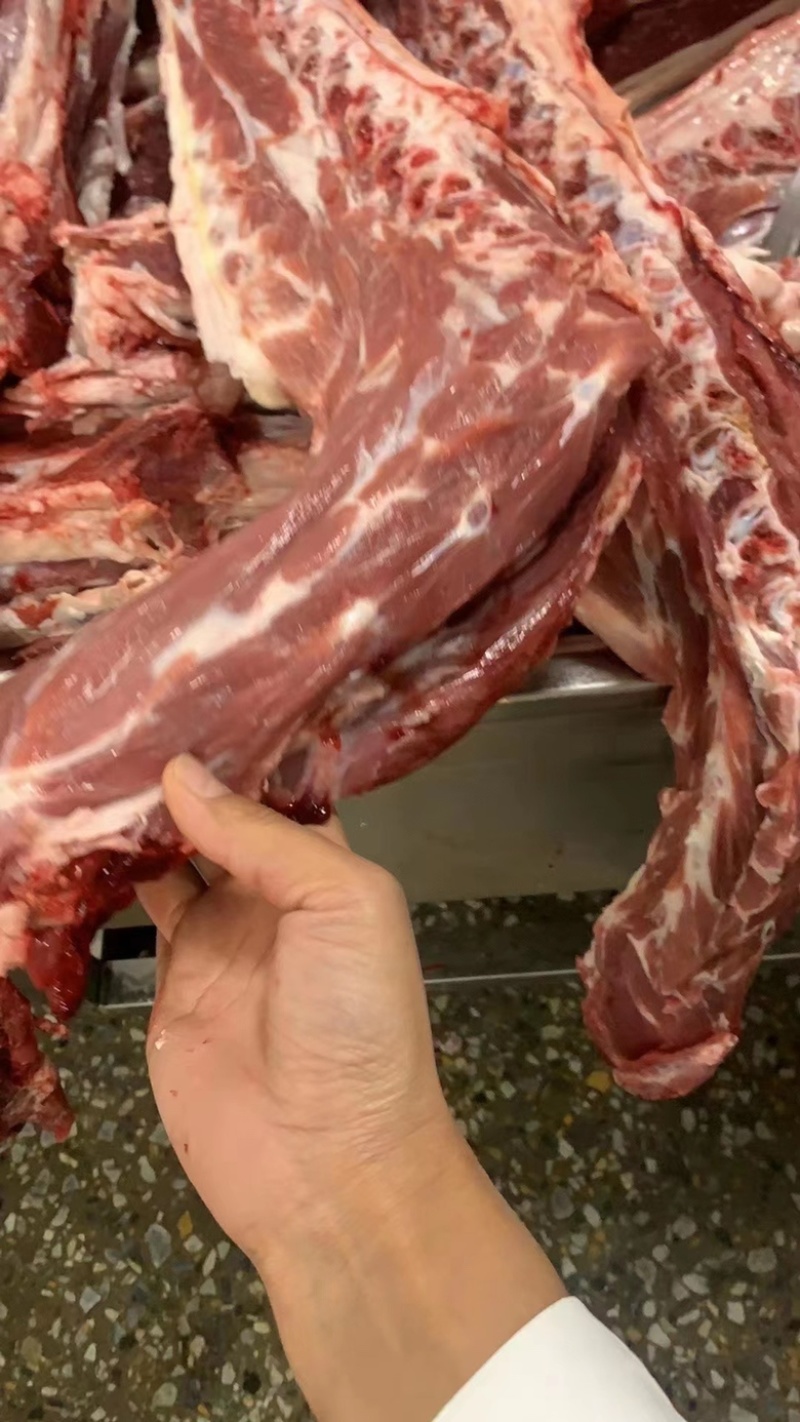 羊脊骨/加肉款羊蝎子/肉多/性价比超高/量大价优