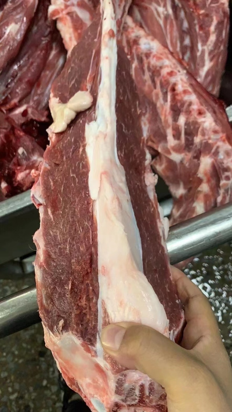 羊脊骨/加肉款羊蝎子/肉多/性价比超高/量大价优