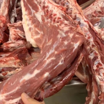 羊脊骨/加肉款羊蝎子/肉多/性价比超高/量大价优