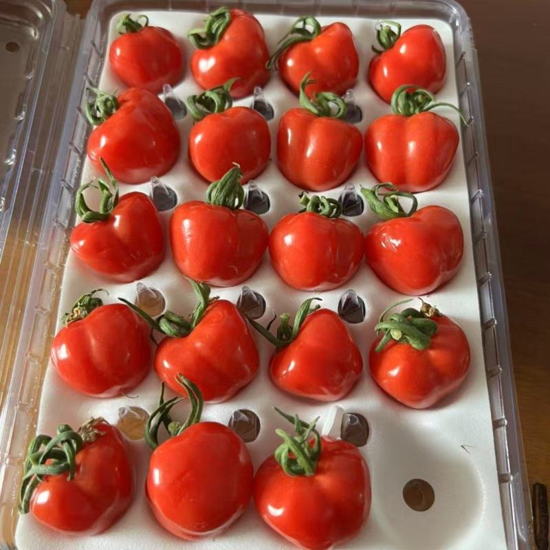 高端冰淇淋小番茄樱桃小番茄电商一件代发