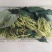 新鲜金银花，湿金银花