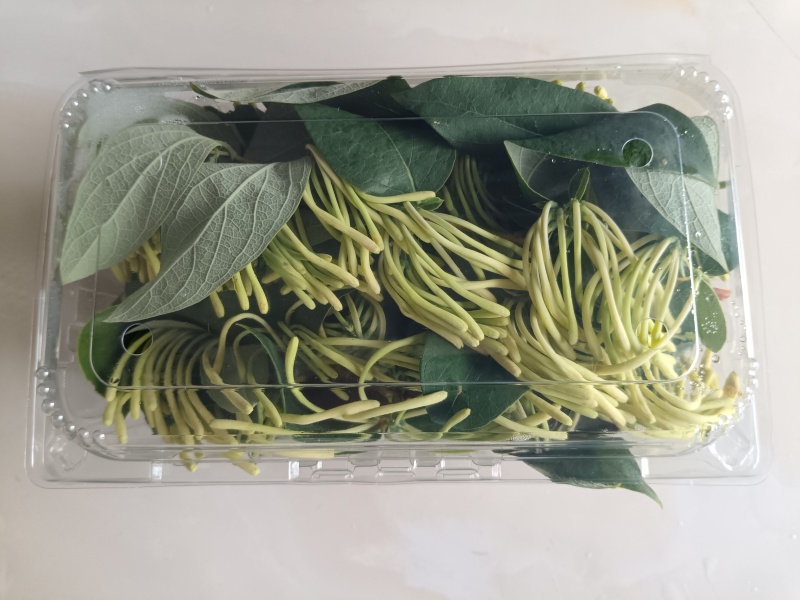 新鲜金银花，湿金银花