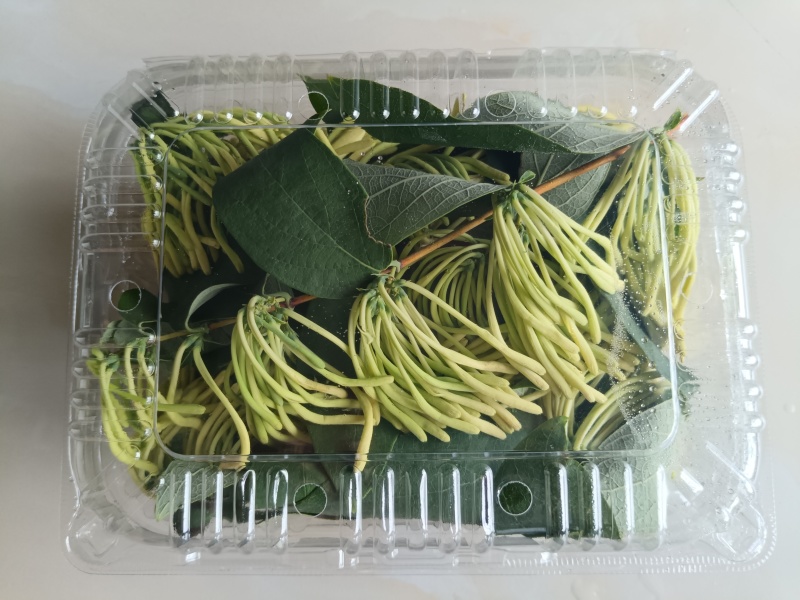 新鲜金银花，湿金银花
