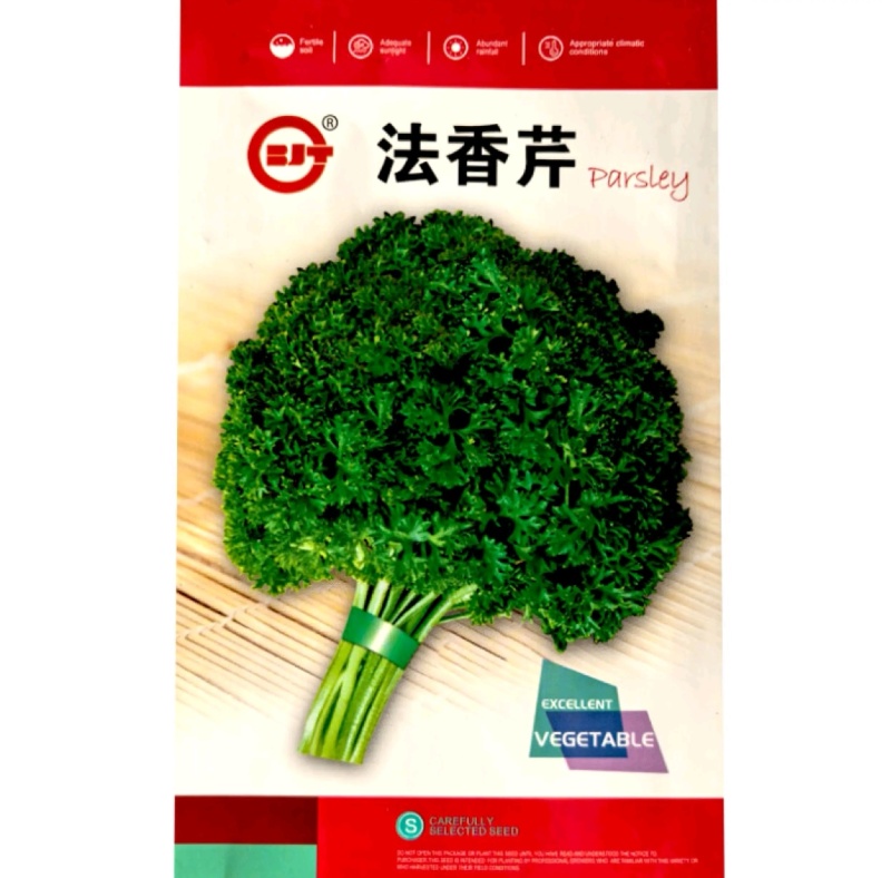 摩西香芹种子法香种籽味道浓郁盘饰皱叶蔬菜春夏秋种植
