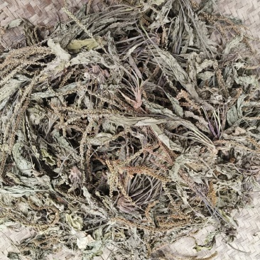 高山野生车前草天然生长，自然凉晒，无泥土杂，没有水洗。