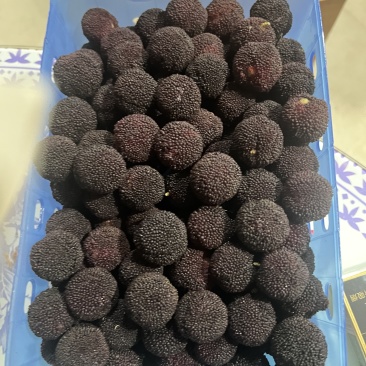 慈溪毛家杨梅