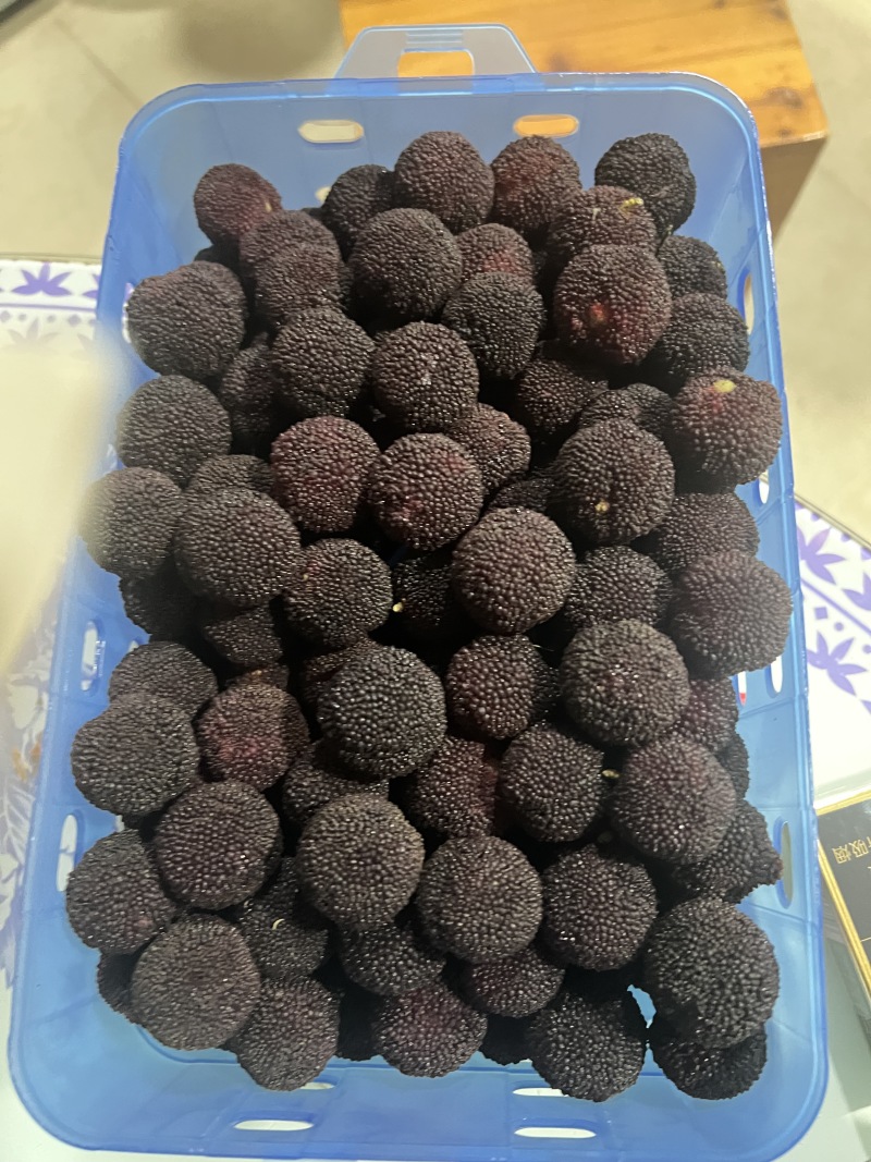 慈溪毛家杨梅