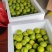 本地产的李子。有需要的可以联系我